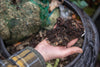Biodegradable vs Compost