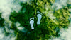 A Guide to Minimizing Your Environmental Footprint