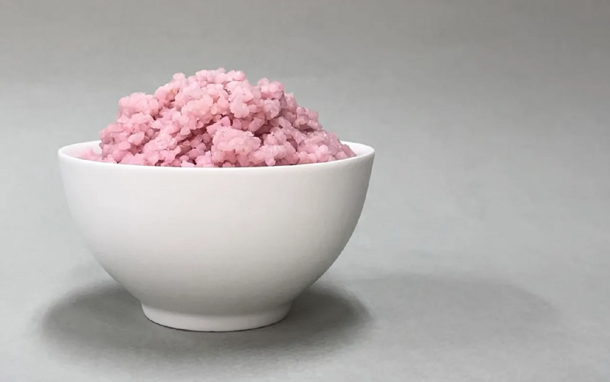 Is Meaty-Rice the Future of Sustainable Protein? – ruut Goods